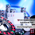 SkyExch-Explained-From-App-to-Platform-in-One-Place-1.png