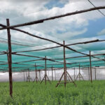 banner2.jpg