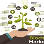 biochar-market.jpg