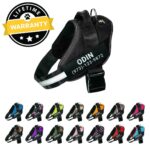imgi_162_doggykingdom_costum_no_pull_harness_93359a57-b89f-483b-a78d-34cf56a3cee0.jpeg