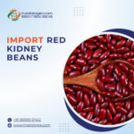 import-Red-Kidney-Beans.jpg