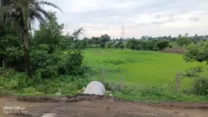 Plot For Sale In Madhya Pradesh: A Guide to Smart Land Investment
