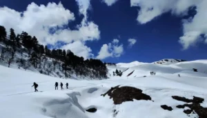 Dayara Bugyal Trek | Snow Camping Adventure in Himalayas