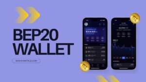 Best Bep20 Wallet
