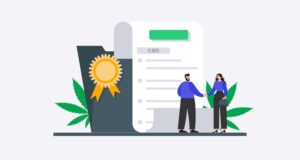 More Than Marketing — How the Best CBD Digital Marketing Agency Builds Real Connections