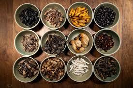 Emerging Opportunities in the Edible Insects Market Worldwide