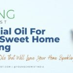 Essential-Oil-for-Home-Sweet-Home-Cleaning.jpg