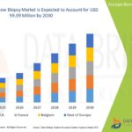 Europe-Bone-Marrow-Biopsy-Market.jpg