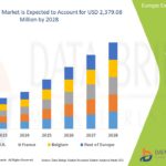 Europe-Excipients-Market.jpg