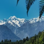 Extension-visitor-visa-nz.png