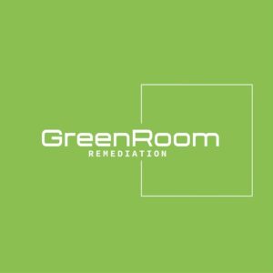Mold Remediation Brooklyn NY
