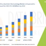 Middle-East-and-Africa-Aesthetic-Dermatology-Market.jpg