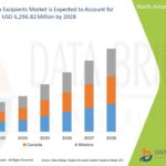 North-America-Excipients-Market.jpg