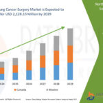 North-America-Lung-Cancer-Surgery-Market.jpg