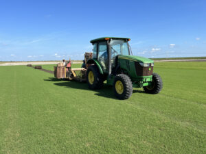 Why Wait for Grass to Grow? Sod It Out Effortlessly