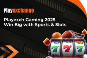 Playexch Login App – Instant Access to Live Betting