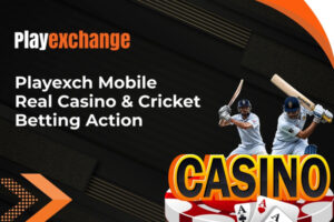Playexch Download – Get Fast Access to Sports & Slots