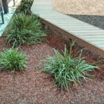 Rubber-Mulch.JPG