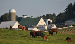 Finding the Right Sate Farm Near Me: Everything You Need to Know
