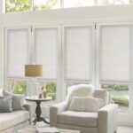 Why-Choose-Norman-Roller-Shades-for-Your-Home-Windows.jpg