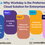 Why-Workday-is-the-Preferred-Cloud-Solution-for-Enterprises-Infograpic-Image.png
