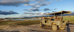 Bird Watching and Wildlife Photography in Jawai
