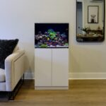 aquarium-kit.jpg