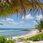 best-time-to-visit-cozumel.png