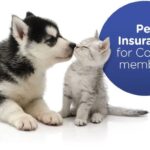cheap-pet-insurance-plans.jpg