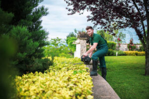 Add Definition and Style to Your Yard with Professional Decorative Curbing