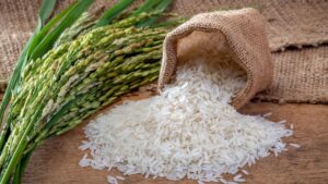 Rice in the UAE: The Grain That Connects Cultures, Traditions, and Tastes
