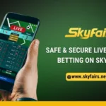 skyfair.webp