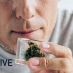 stock-photo-cropped-view-man-shirt-holding-medical-cannabis-glass-container-panoramic.jpg