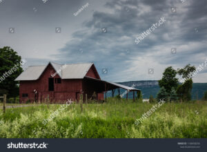 Why Radon & Mold Testing to Termite & Water Inspections in Pine Bush NY Are Essential for Homeowners