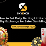 www.skyeexchange.org_.in-5.png