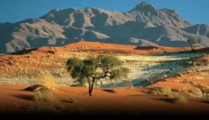African Travel Gateway The Best Route to South Africa Luxurious Safaris