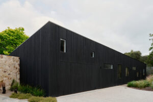 charred wood cladding