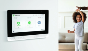 Safeguarding Your Assets: A Unified Approach to Home and Business Security