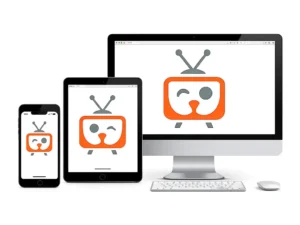 Indiri Natbox – Your Fast, Simple, and Secure Download Destination