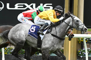 Master the Track: Essential Gallops Betting Tips for Smarter Wins