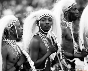 Ontdek de spanning van gorilla-trekken in Rwanda met Safari in Africa