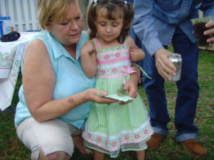 From Sorrow to Serenity: How Funeral Butterflies Offer Comfort