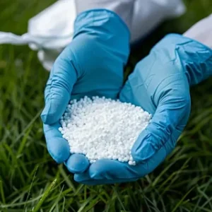 Worldwide Water-Soluble Fertilizer Market Forecast: Emerging Trends & Demand