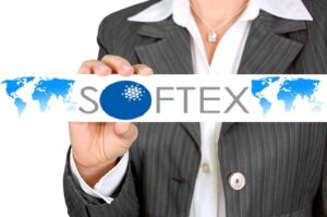 Softex Filing Services: Expert Assistance for Hassle-Free STPI & Export Compliance