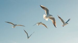 How Does Bird Symbolism Relate to the Universal Connection of Life?