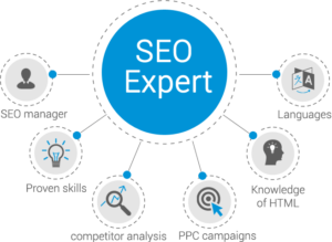 Ali Raza SEO Expert in Lahore – Best SEO Expert in Lahore