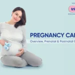 Pregnancy_Care_Overview_Prenatal___Postnatal_Care.webp