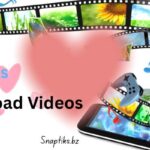 Snaptiks-tiktok-video-downloader.jpg