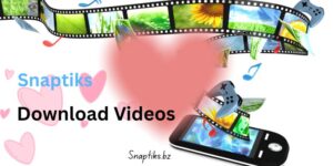 Understanding S Naptik: A Simple Tool for Downloading TikTok Videos Without Watermark