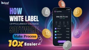 How White Label Crypto Software Makes the Crypto Exchange Process 10× Easier